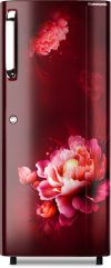 Panasonic 230 L Direct Cool Single Door 3 Star Refrigerator(Becky Red Floral, NR-A242CFRN)