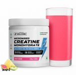 Wellcore Micronised Monohydrate Creatine(122 g, Fruit Fusion)
