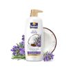 Parachute Advansed Protein Shampoo with Coconut Milk & Rosemary | Up to 96% Hair Fall Reduction & up to 23X Hair Fall Control | Protein Lock Technology | Paraben free | For Men & Women | 1.2L