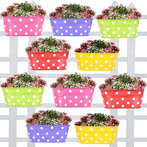 TrustBasket Dotted Oval Railing Planters (Magenta, Purple, Green, Red, Yellow) – Set of 10
